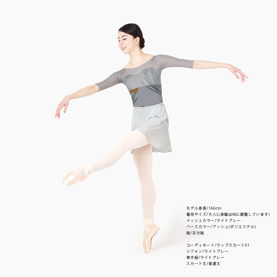 Crocus behind the mist