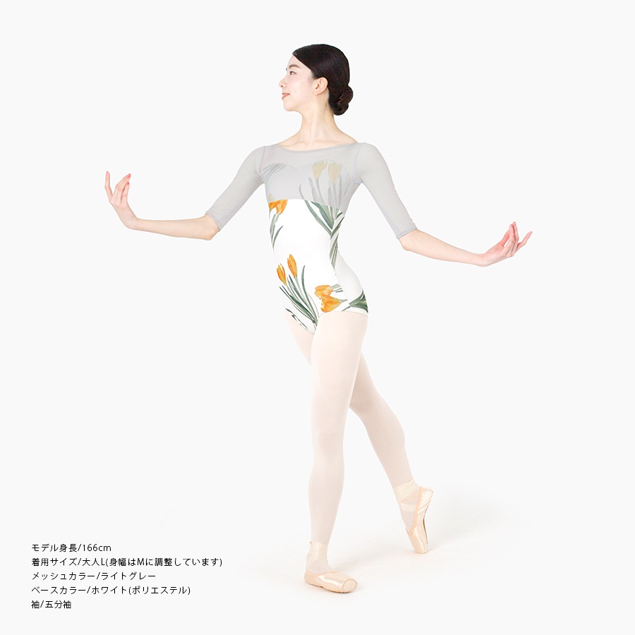 Crocus behind the mist