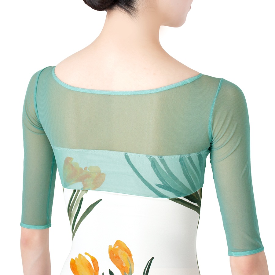 Crocus behind the mist