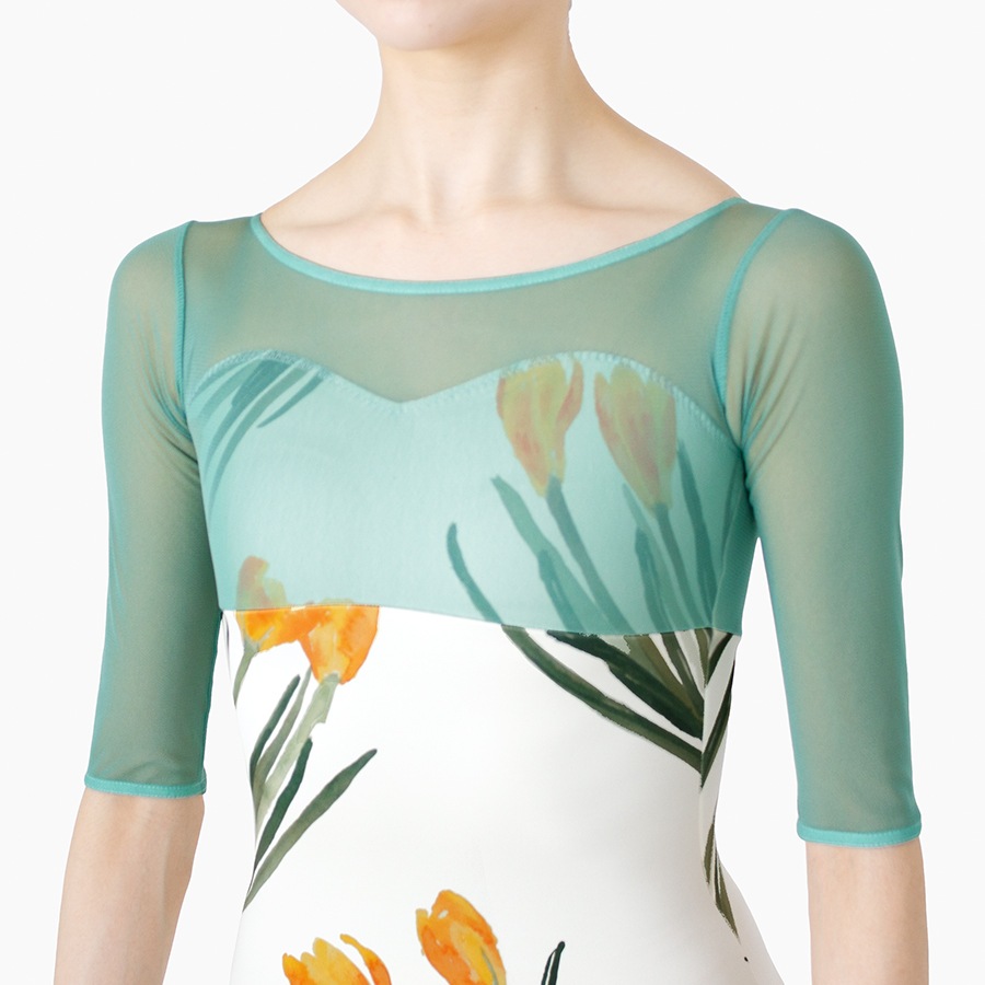 Crocus behind the mist