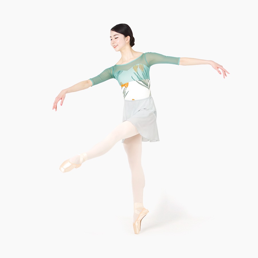 Crocus behind the mist