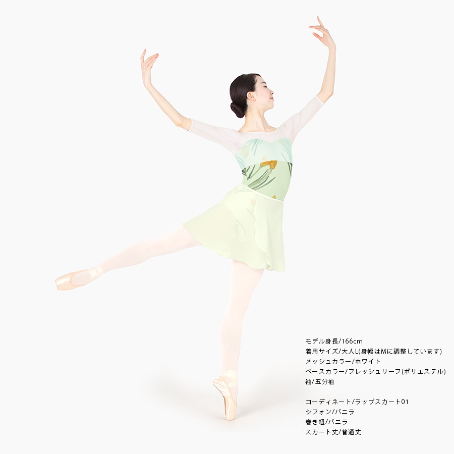 Crocus behind the mist