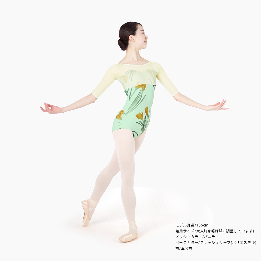 Crocus behind the mist