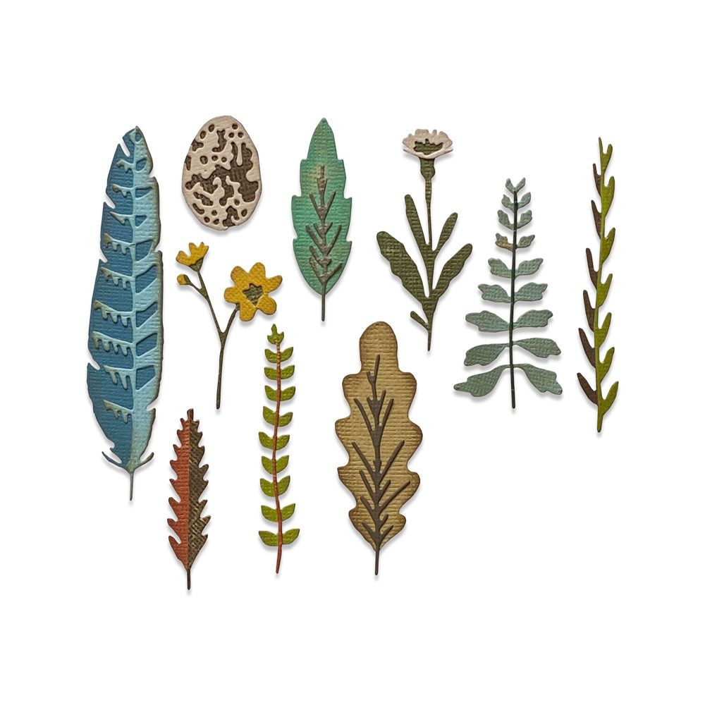 Sizzix Thinlits 665215 Funky Nature by Tim Holtz | Sizzix