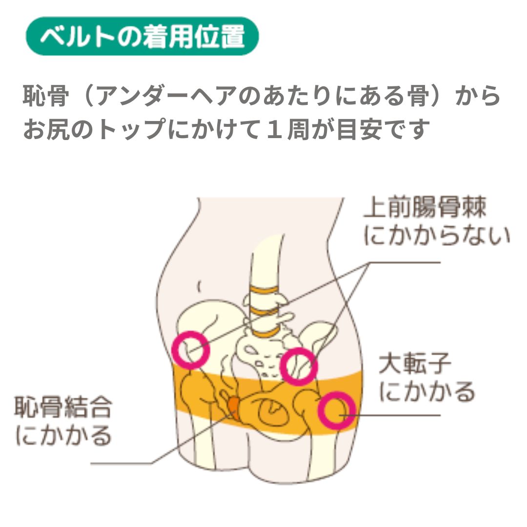 トコちゃんベルトⅡ【骨盤ベルト】- トコちゃんベルトの青葉正規品