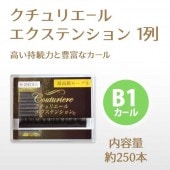 ꥨ륨ƥ󥷥 1 B1 ڥ᡼زġ