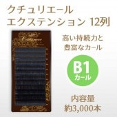 ꥨ륨ƥ󥷥 12 B1 ڥ᡼زġ