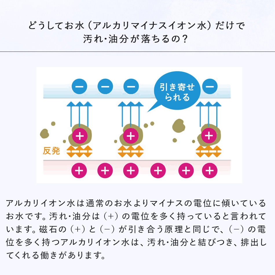 ���ꥢ���� ����������ph  1000mL (��̳��)