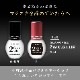 ޥ饤 2wk.롼  ֥롼᡼ز