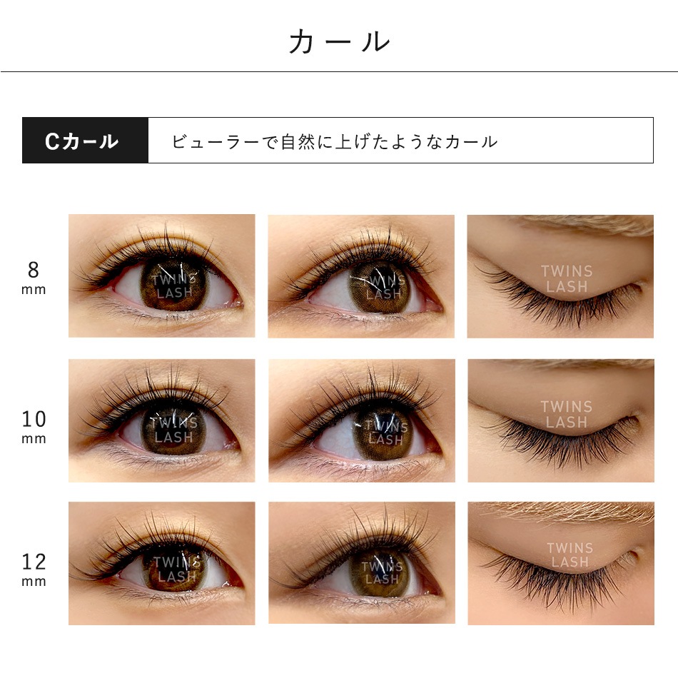 ĥ󥺥å 12«ڥ᡼زġ