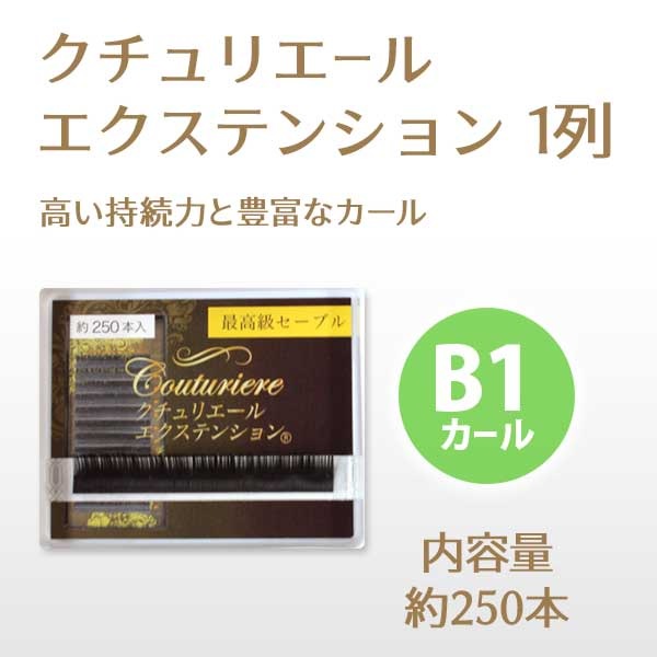 ꥨ륨ƥ󥷥 1 B1 ڥ᡼زġ