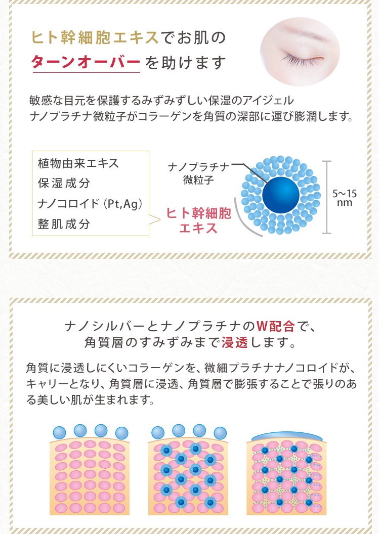 ۥꥹƥå ץƥȥ 10g 10ĥå ڥ᡼زġ