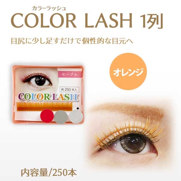 顼ƥ󥷥 1  ڥ᡼زġ