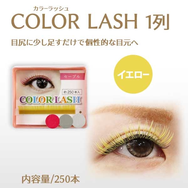 顼ƥ󥷥 1  ڥ᡼زġ