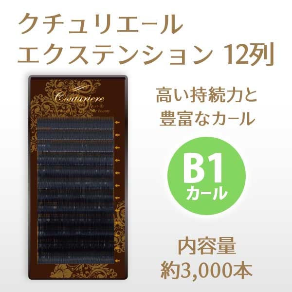 ꥨ륨ƥ󥷥 12 B1 ڥ᡼زġ