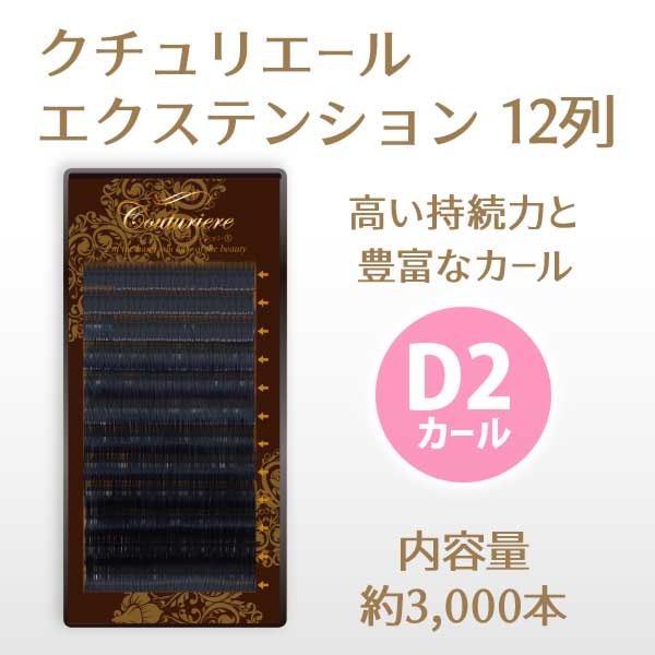 ꥨ륨ƥ󥷥 12 D2 ڥ᡼زġ