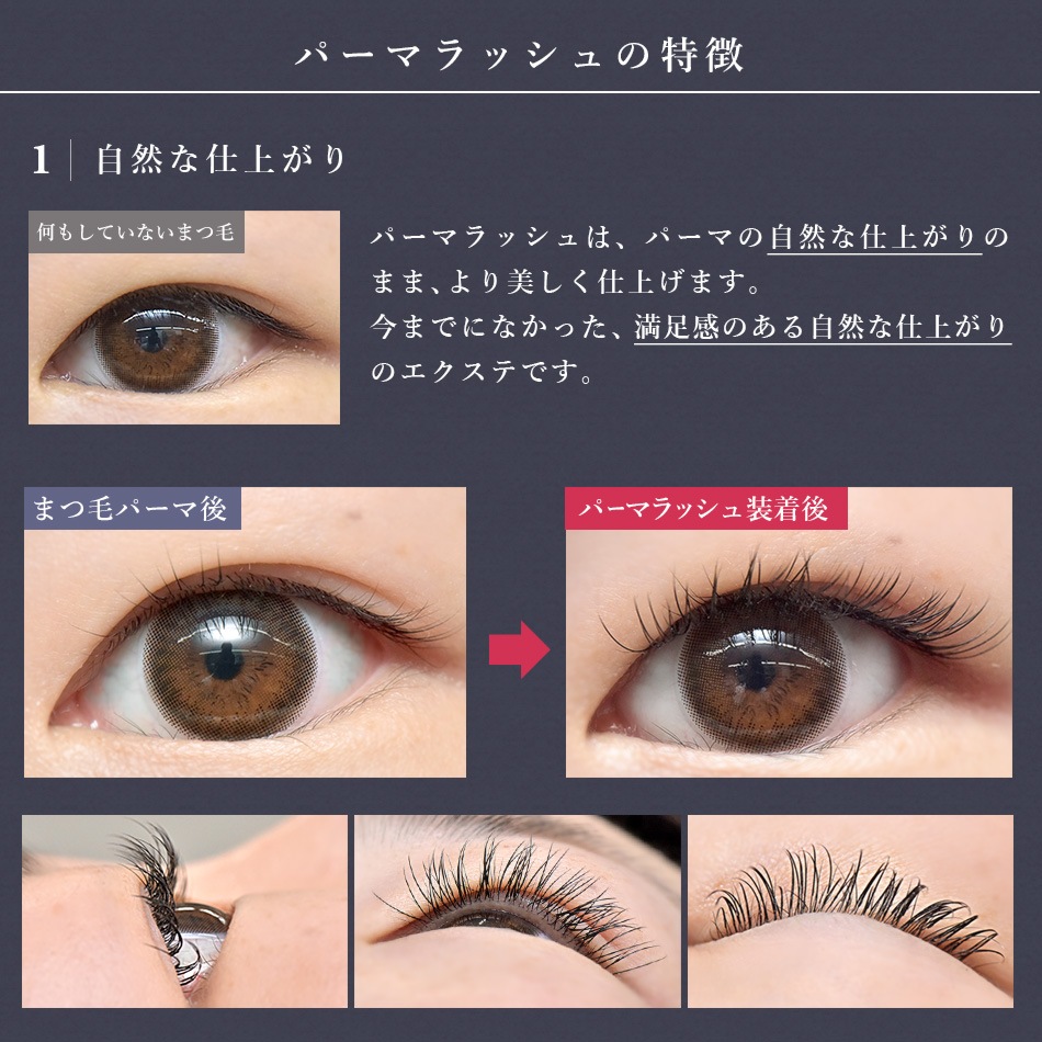 ѡޥå Perm Lash ڥ᡼زġ