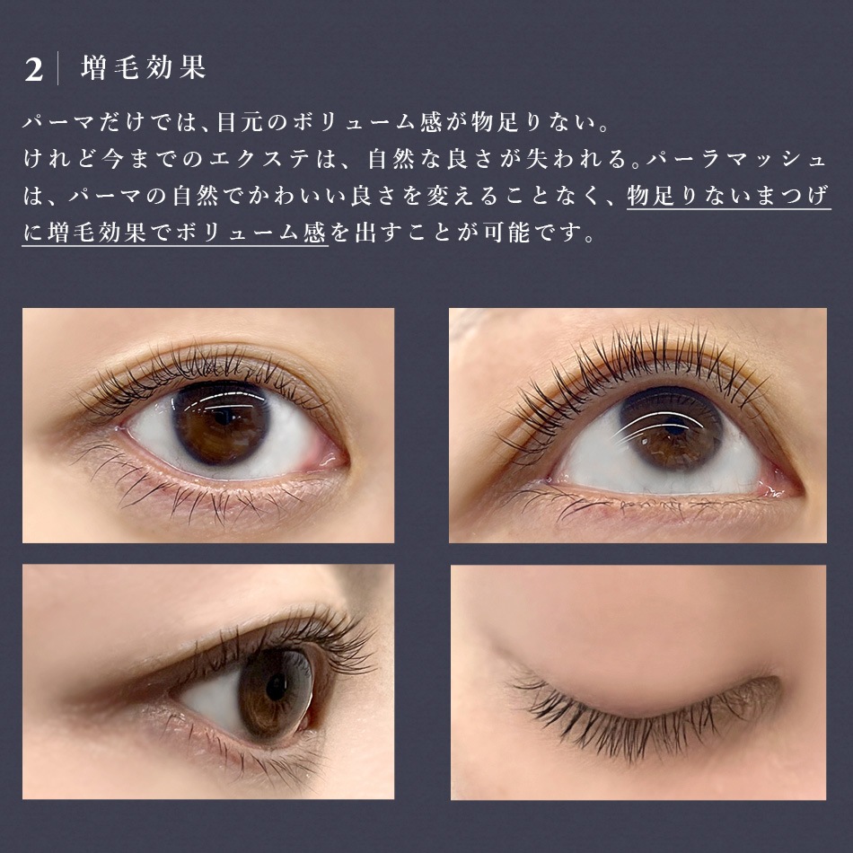 ѡޥå Perm Lash ڥ᡼زġ