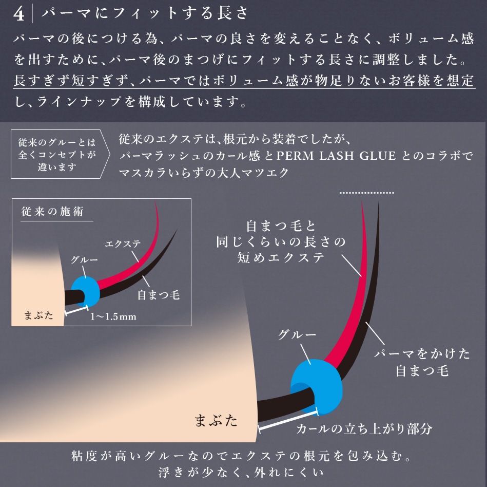 ѡޥå Perm Lash ڥ᡼زġ