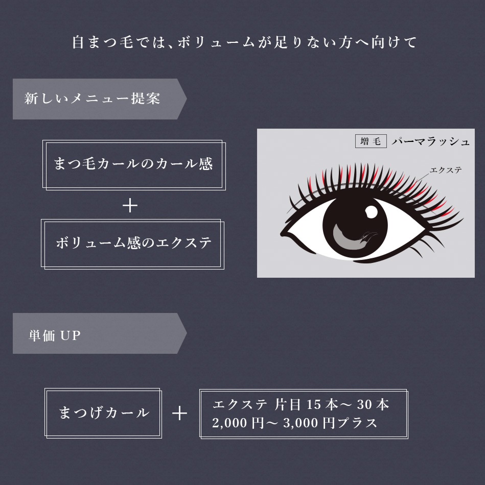 ѡޥå Perm Lash ڥ᡼زġ