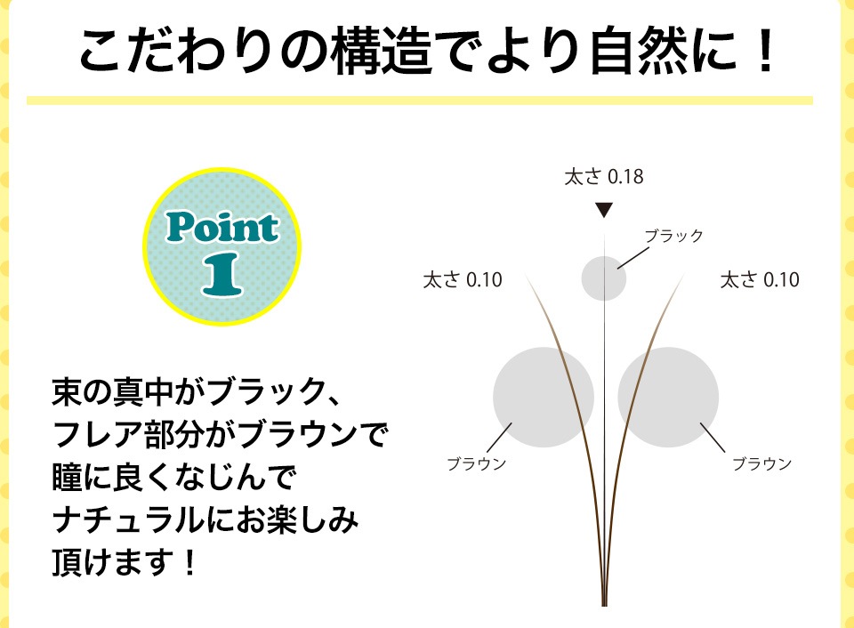 ޥå my Lash 3« ڥ᡼زġ