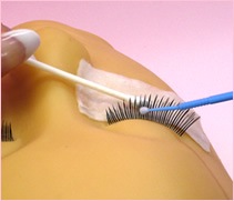 ҥ륳 Ĥ  ꥢʥ  1000mL (̳)10ܥå ̳ ڥ᡼Բġ