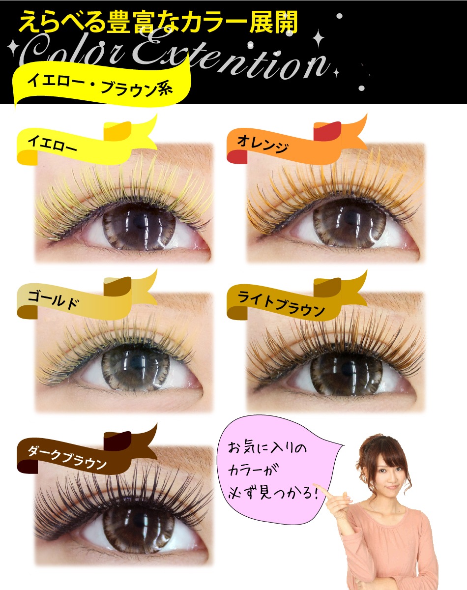 顼ƥ󥷥 1 ѥƥѡץ ڥ᡼زġ