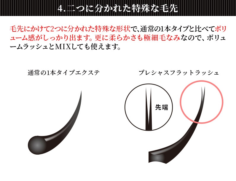 �ץ쥷�㥹�ե�åȥ�å��� 12�� D������ �ڥ᡼���زġ�