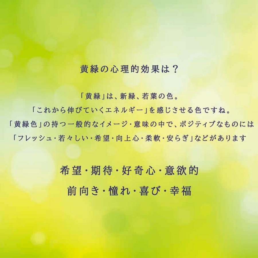 名入れ 切子硝子 江戸菱花 グリーン 木箱入り