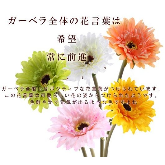 波佐見焼 マグカップ ガーベラペアセット