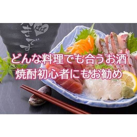 名入れ サーモス空断熱タンブラー400ml 黒霧島720ml セット