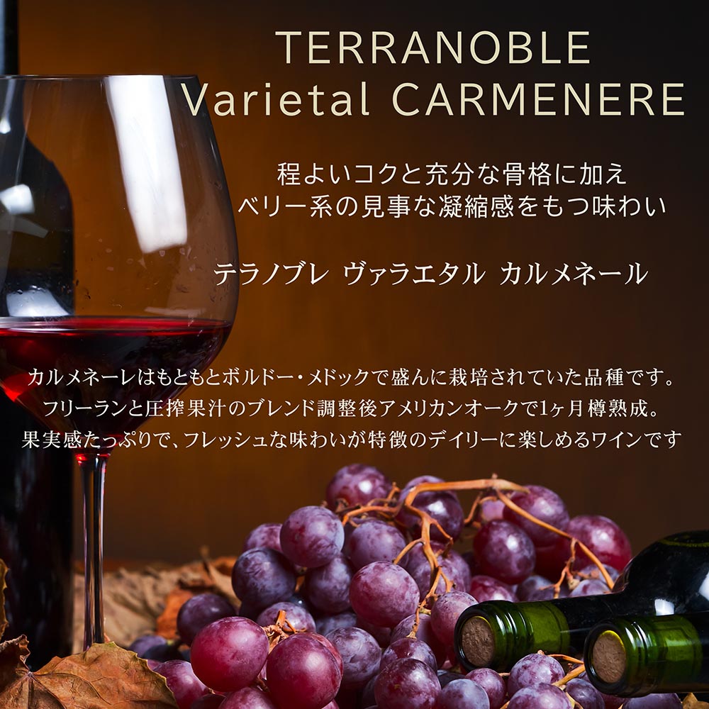 名入れ SXX デコボトル 赤ワイン テラノブレ ヴァラエタル メルロー 750ml ハートデザイン おまかせチャーム・コサージュ付 ギフトBOX入り