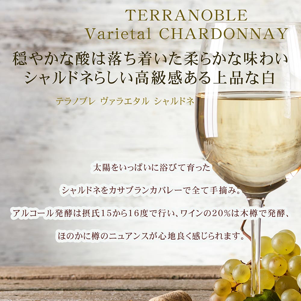 名入れ SXX デコボトル 赤ワイン テラノブレ ヴァラエタル メルロー 750ml ハートデザイン おまかせチャーム・コサージュ付 ギフトBOX入り