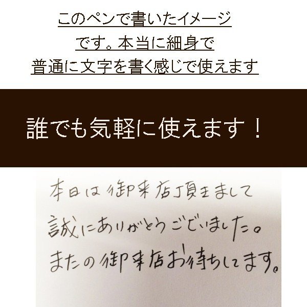 名入れ 万年毛筆 本家 べっこう調