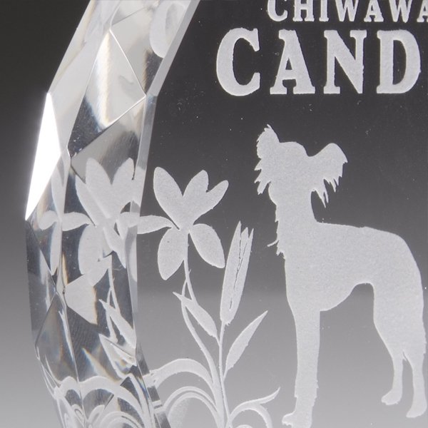 名入れ クリスタル製サークルミニ盾オブジェ