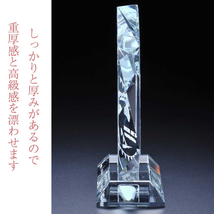 名入れ SXX インテリア雑貨 変形六角クリスタル 高級盾