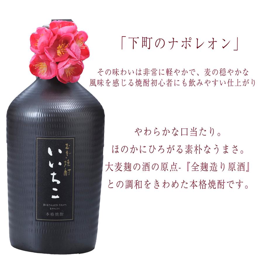 いいちこ 2ケース いいちこ 2ケース 楽天市場】いいちこ 25度 1800ml