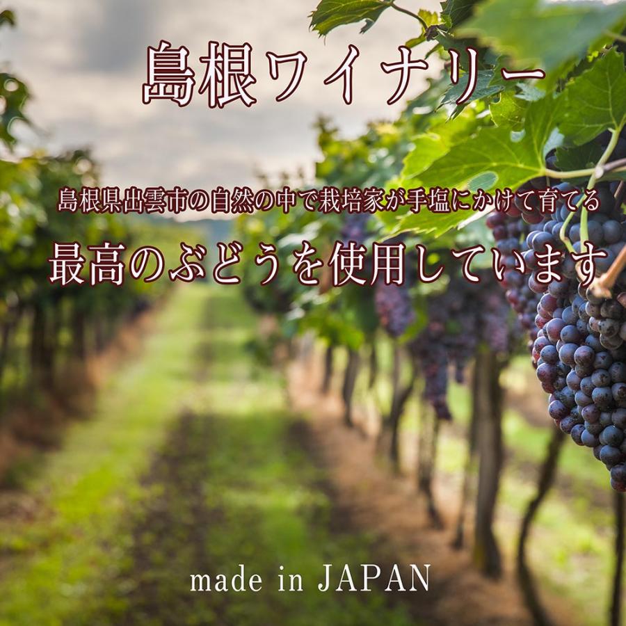 名入れ 白ワイン 島根ワイナリー MARIE マリエ 白 600ml おまかせリボンスカーフ ブレスレット付き