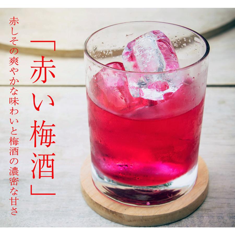 名入れ 紀州 赤い梅酒 一升瓶 1800ml 花コサージュ付き