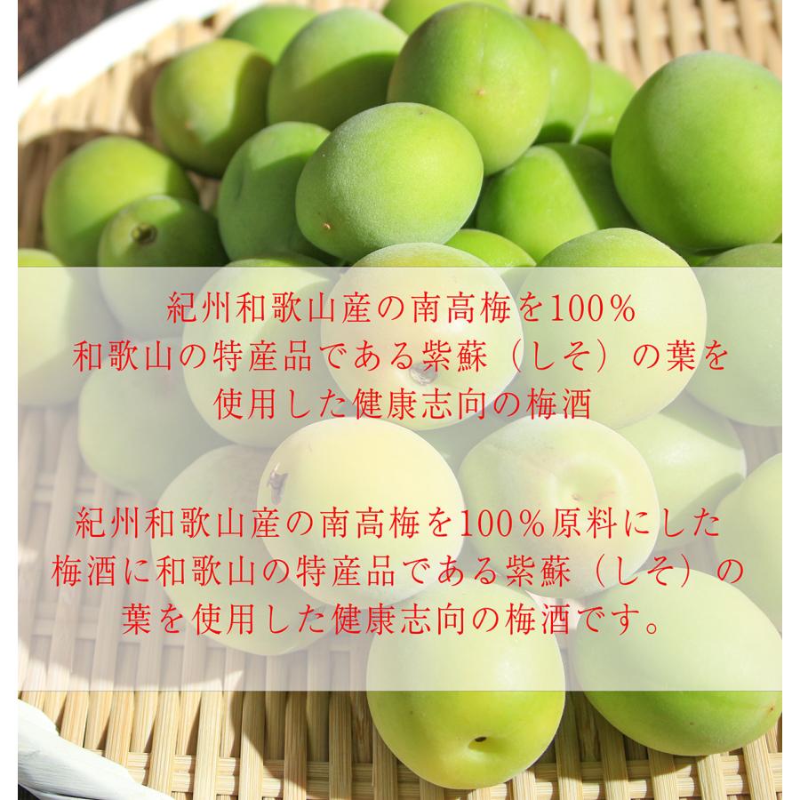 名入れ 紀州 赤い梅酒 一升瓶 1800ml 花コサージュ付き