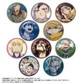 Dr.STONEȥ졼ǥ󥰴̥Хå vol.2BOX