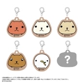 ֥ԥХ餵ץȥ졼ǥ󥰥ߥ˥㡼ࡡvol.1BOX