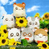 �ؤȤäȤ��ϥ���Ϻ�٤פ�����ޥ����åȡ�BOX