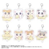 �ؤȤäȤ��ϥ���Ϻ��~Twinkle Dreams~�Ĥʤ��륢�������㡼�ࡡBOX