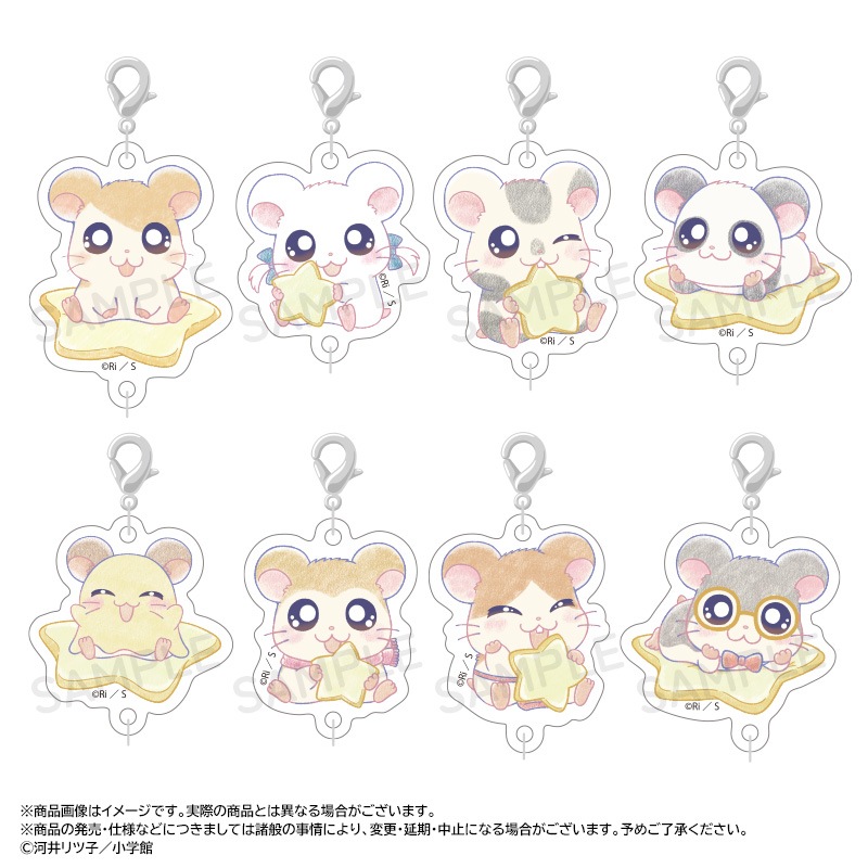 �ؤȤäȤ��ϥ���Ϻ��~Twinkle Dreams~�Ĥʤ��륢�������㡼�ࡡBOX