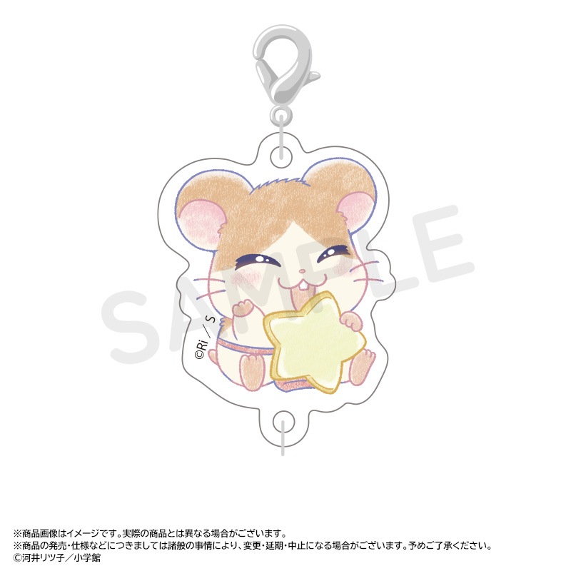 �ؤȤäȤ��ϥ���Ϻ��~Twinkle Dreams~�Ĥʤ��륢�������㡼�ࡡBOX