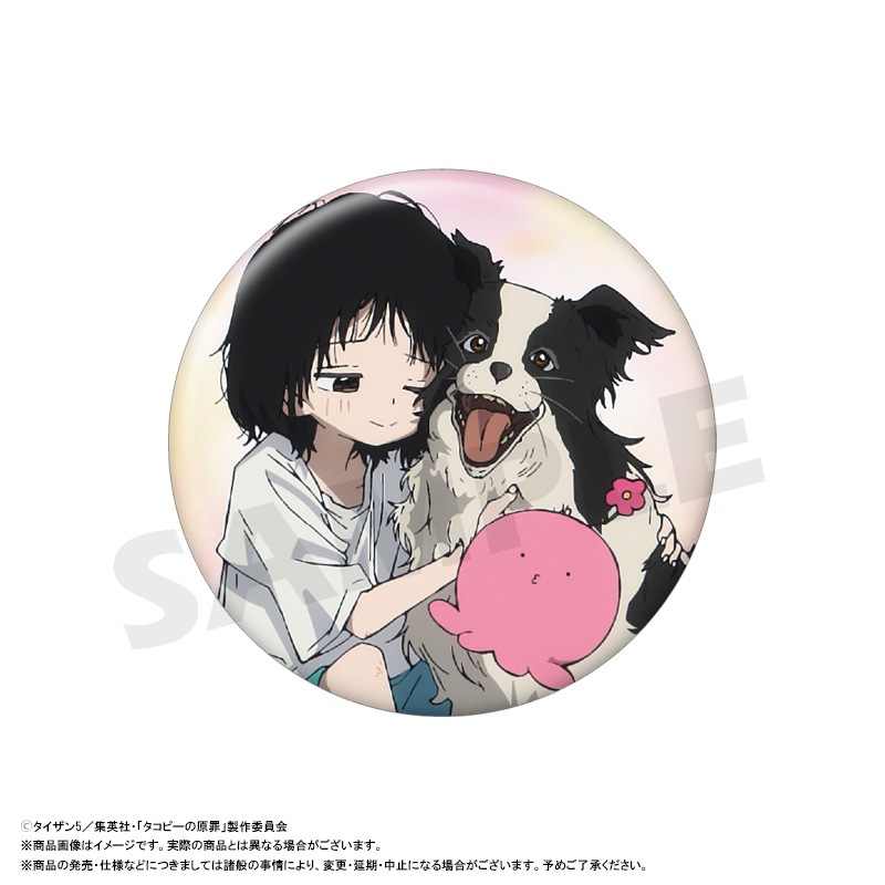 ���˥�֥����ԡ��θ���ץȥ졼�ǥ��󥰴̥Хå���BOX