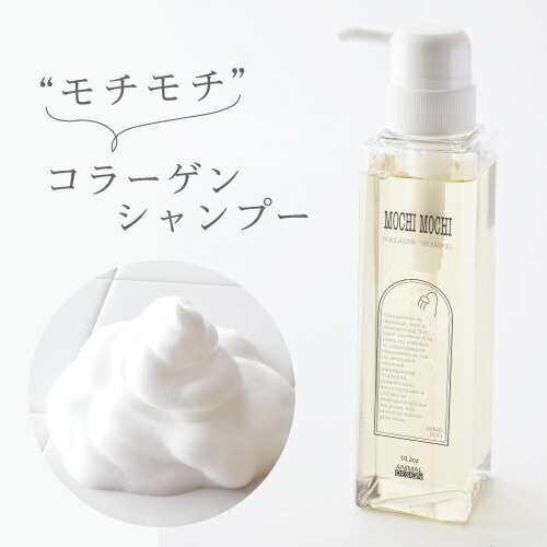 AҸˡۡ ̤Τߺ / ʤʤ꼡轪λ ۥ 顼 ס 300ml¨Ǽ/MOCHIMOCHI/Υ󥷥ꥳ/ߥλ/إ/顼 ӥ塼ƥإסΥ󥷥ꥳ