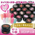 ��A�Ҹˡ�BENI������  ���顼������ݥ�å��� 2.5g������ˤ��������٤�5�ĥ��å�(UV�б�/LED�б�/���եȥ�����/����������/������ͥ���/������/ȯ��/�ͥ��른����/˭��/���顼/��͵�/�쥢���顼/��/JAPA