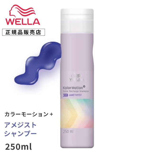 【A倉庫】【 シャンプー 】WELLA プロフェッショナル カラーモーション+  アメジスト シャンプー 250ml　カラーモーションプラス  ウェラ プロフェッショナル カラー シャンプー カラーヘア カラーヘアー  ホームケア  ダメージ 補修 保護